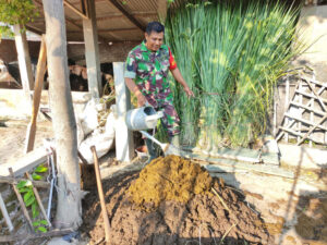 Serma Garsadi Olah Kotoran Sapi Jadi Biogas Dan Pupuk Organik