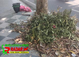 Sampah Berserakan Hingga Menimbulkan Bau Busuk, Terkesan Dibiarkan