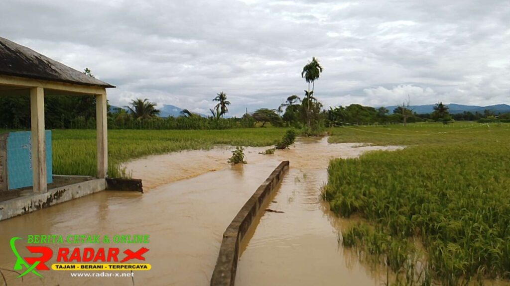 BPBD Aceh Tenggara: 1.371 Hektar Lahan Pertanian Rusak Akibat Banjir Bandang