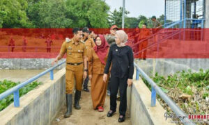 Perkuat Lumbung Pangan Nasional, Bupati Nina Agustina Serahkan Benih Padi Bagi 722 Kelompok Tani