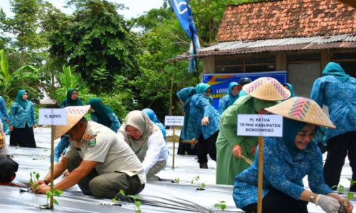 Langkah Cepat Preventif TP PKK Bondowoso, Bupati Drs. Bambang Soekwanto Apresiasi