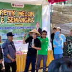 Petik