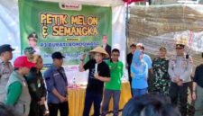 Pj Sekda Haeriah Yuliati hadiri Petik Melon dan Semangka.