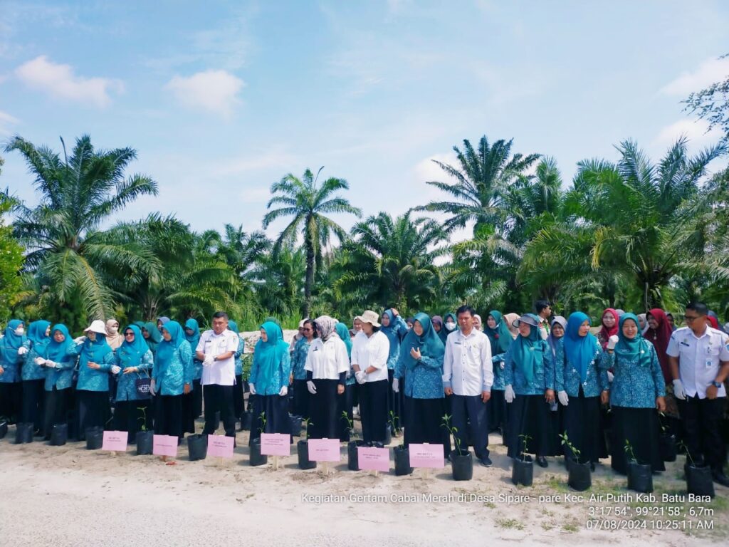 Tekan Laju Inflasi, Dinas Pertanian dan Perkebunan Lakukan Gertam Cabai Merah