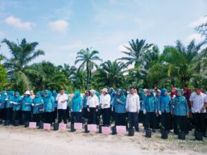 Tekan Laju Inflasi, Dinas Pertanian dan Perkebunan Lakukan Gertam Cabai Merah