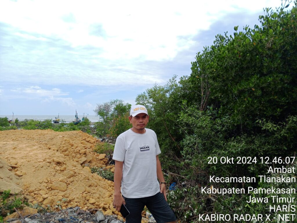 Mafia Tanah Beraksi, Akibatnya Pesisir Pantai dan Mangrove Jadi Korban