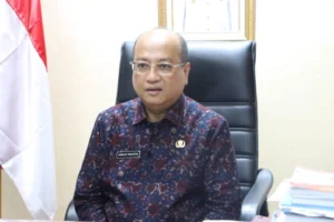 Ditjen Bina Keuda Dorong Pemda Segera Lakukan Langkah Strategis Optimalkan Penerapan JKN