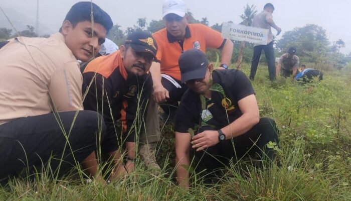 Jelang Memperingati 20 Tahun Tsunami Aceh, Pemkab Agara Tanam Pohon Buah