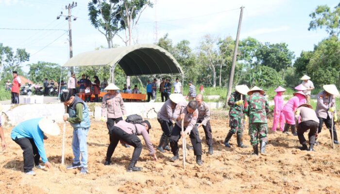 Gelorakan Swasembada Pangan, Wakapolres Pamekasan Pimpin Penanaman Jagung