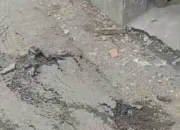 Warga Keluhkan Kerusakan Jalan Akibat Truk Molen ke Kandang Ayam PT GALUS OMEGA MAKMUR di Sumberjambe