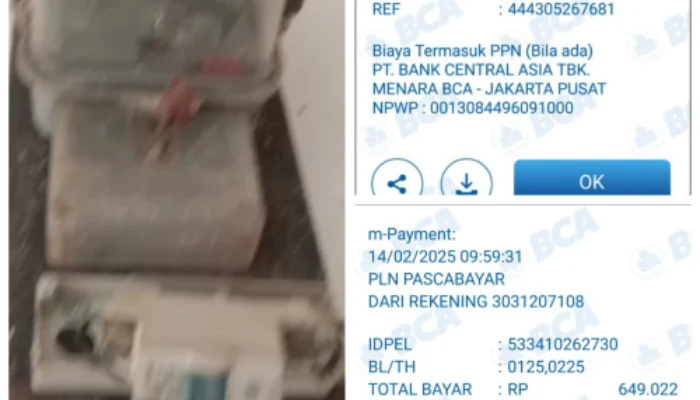 Petugas PLN Indramayu Hobinya Cabut Aliran Listrik Warga  ,Lsm KPK Menilai Cara Kerjanya  Lebih Kejam Debkolektor