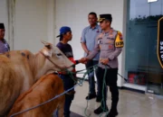 Kapolres Bondowoso Kembalikan Tiga Sapi Curian ke Pemiliknya