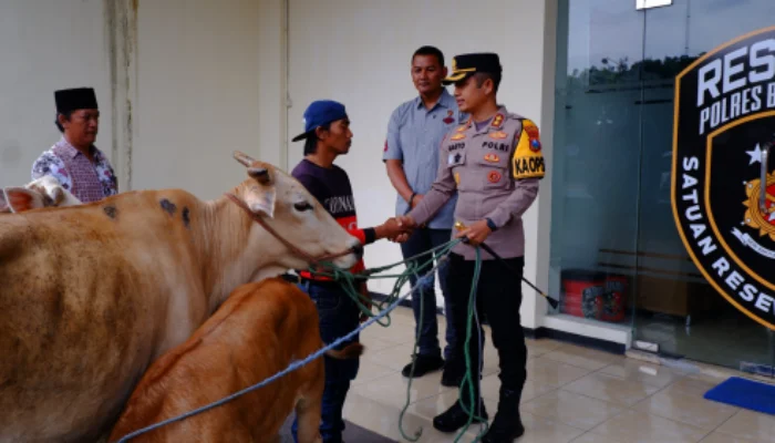 Kapolres Bondowoso Kembalikan Tiga Sapi Curian ke Pemiliknya