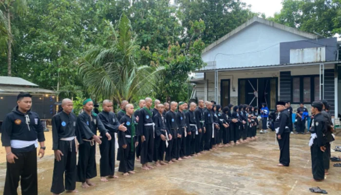 PSHT Cabang Sampang Gelar Ujian Kenaikan Tingkat Hijau ke Sabuk Putih