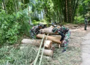 Satgas TMMD 123 Kodim Bondowoso dan Warga Gotong Royong Angkut Kayu Balok