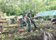 Aksi Tanam Pohon TMMD 123 Kodim 0822 Bondowoso di Desa Gunosari