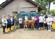 TMMD 123 Kodim 0822 Bondowoso Tingkatkan Kesehatan Ternak di Desa Gunosari