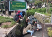 Dinas Perikanan Kolaborasi Dengan Satgas TMMD ke-123 Tebar 4.400 Benih Ikan Nila di Desa Trotosari