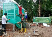 Rumah Pangan Lestari, Wujudkan Ketahanan Pangan TMMD Ke-123 Bondowoso