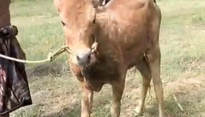 “Omben Mulai Oleng”, Masyarakat Resah Dengan Maraknya Curanwan dan Curanmor