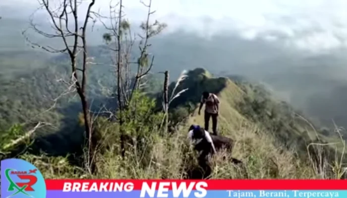 Pemdaki Asal Jember Dikabarkan Jatuh di Gunung Saeng Bondowoso