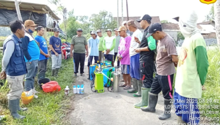 Gerakan Pengendalian Hama WBC Digelar di Dusun Sumber Malang, Petani Dapat Bantuan Pestisida Gratis