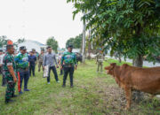 Jelang Idul Adha, Bupati Batu Bara Serahkan Hewan Qurban