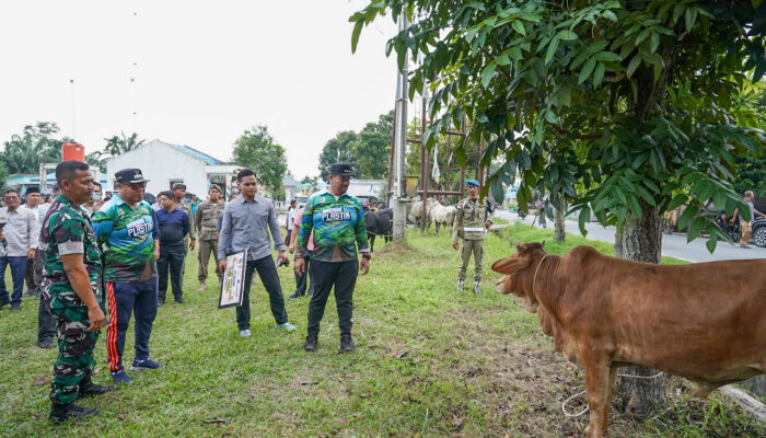 Jelang Idul Adha, Bupati Batu Bara Serahkan Hewan Qurban