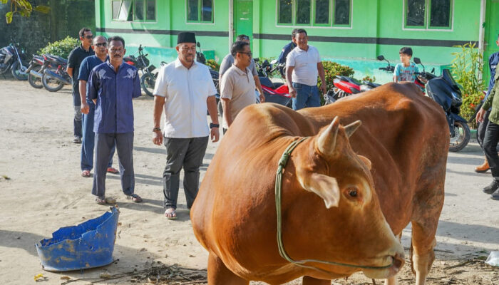Bupati Batu Bara Serahkan Hewan Qurban dari Presiden