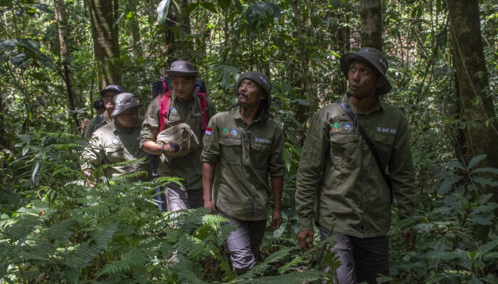 INALUM Dukung Patroli Hutan dan Edukasi Konservasi di Taman Nasional Gunung Leuser