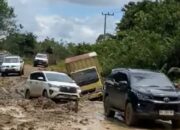 Jalan Lintas Puruk Cahu–Palangka Raya Rusak Parah, Warga Minta Perbaikan Permanen Dari Pemerintah Pusat