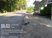 Baru Dibangun, Sudah Mulai Rusak: Kualitas Proyek Aspal Rp 195 Juta Jalan Gintangan Dipertanyakan
