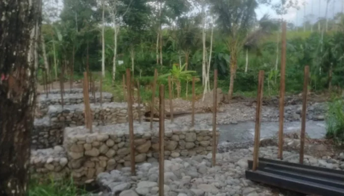 Jembatan Misterius Muncul di Tengah Perkebunan,Korsda Glenmore Dan Pemdes Tegalharjo Akui Tidak Mengetahui