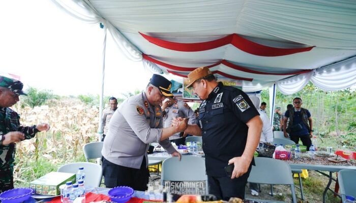 Dukung Swasembada Pangan 2026, Bupati Batu Bara Hadiri Panen Raya Jagung Serentak Kuartal III