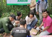 Inspirasi GP Ansor Kencong! Gerakkan Kemandirian Organisasi dari Desa Melalui Program Penanaman Pisang Cavendis