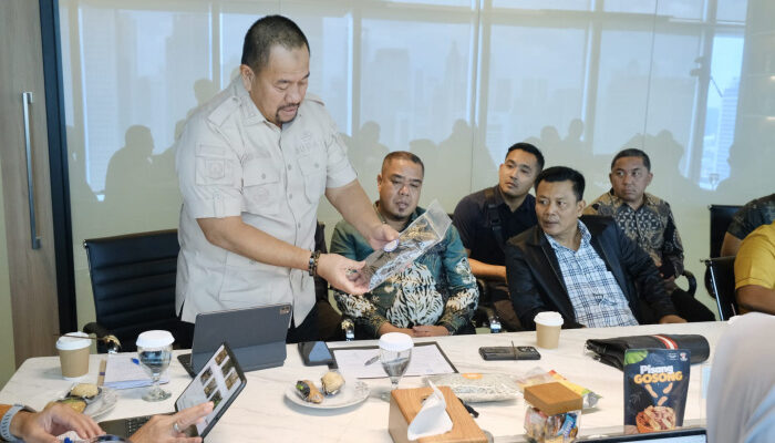 Dorong Pertumbuhan Ekonomi, Bupati Batu Bara Audiensi dengan Menteri Ekraf RI