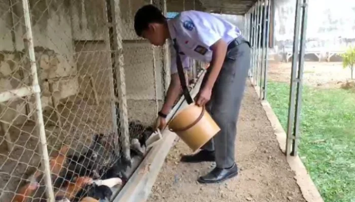 Siswa SMAN 1 Tenggarang Bondowoso Sukses Menjadi Pengusaha Telur