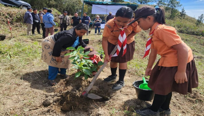 INALUM Tanam 600 Pohon, Tanda Dimulainya Penghijauan 500 Hektar di DTA Danau Toba