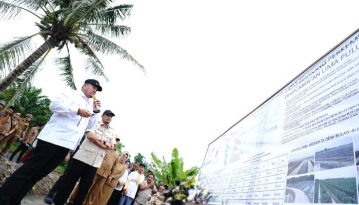 Penguatan Ketahanan Pangan Daerah, Bupati Baharuddin Bersama Gubsu Bobby Laksanakan Gerakan Tanam Cabai Bersama