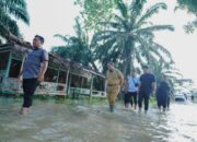 Pastikan Penanganan Banjir yang Tepat, Bupati Batu Bara Tinjau Lokasi Banjir di Desa Sido Mulyo dan Tanjung Mulia
