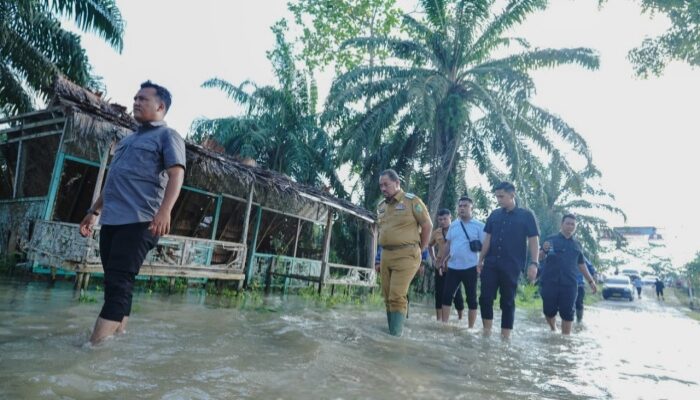Pastikan Penanganan Banjir yang Tepat, Bupati Batu Bara Tinjau Lokasi Banjir di Desa Sido Mulyo dan Tanjung Mulia