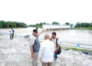Bupati Batu Bara bersama DPRD Provsu Tinjau Bendung Sungai Dalu-Dalu