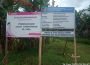 Proyek Jalan Lingkungan Kemuningsari Kidul Molor, Pelaksananya Diduga Timses Bupati Jember