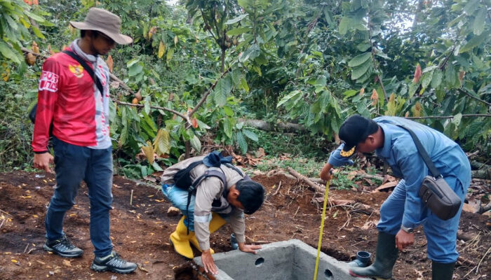 Kolaborasi Inalum dan PJT 1 untuk Konservasi Air, Hutan, dan Masa Depan Danau Toba