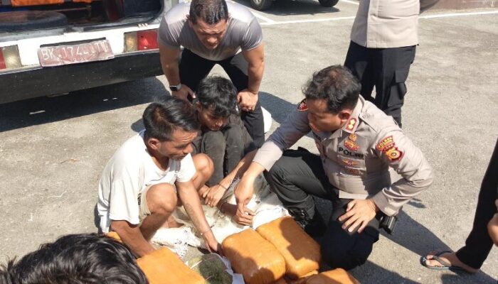 Ciduk Kurir, Sat Intelkam Polres Aceh Tenggara Amankan 50,7 Kg Ganja