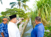 Komitmen Jaga Infrastruktur, Bupati Batu Bara Tinjau Jembatan dan Pintu Air di Desa Air Hitam