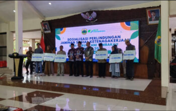 Buruh Tani Tembakau Kini Lebih Terlindungi, Pemkab Bondowoso Perkuat Jaring Pengaman Sosial