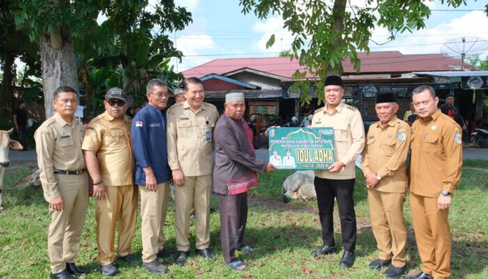 Sambut Hari Raya Idul Adha, Bupati dan Wakil Bupati Batu Bara Serahkan 61 Ekor Sapi Kurban