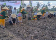 “Urat Nadi Ekonomi Bondowoso Terancam, Petani Tembakau Lawan Regulasi Pembatasan Nikotin dan Tar”