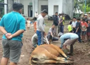 IWB Perkuat Kepedulian dan Solidaritas Idul Adha 1447 H
